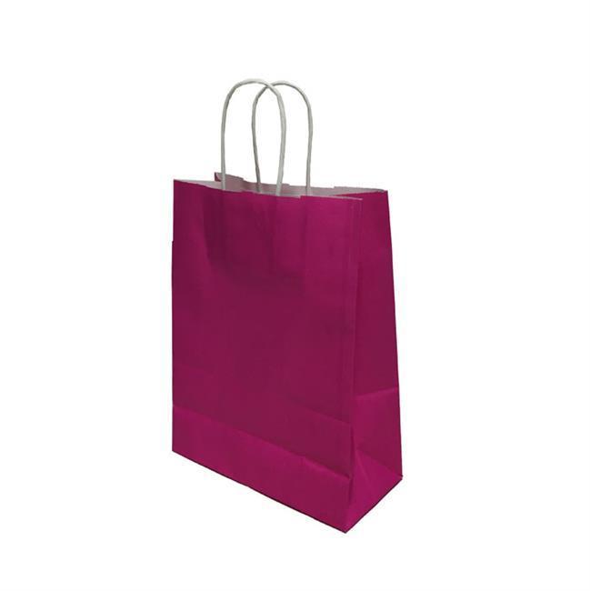 BÜKÜM SAPLI DÜZ RENK KAĞIT ÇANTA 18X24 CM (25 AD)