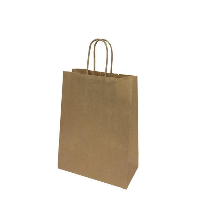 BÜKÜM SAPLI DÜZ RENK KAĞIT ÇANTA 18X24 CM (25 AD)