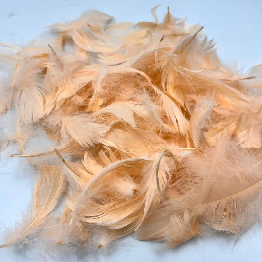 KUŞ TÜYÜ 5 GR