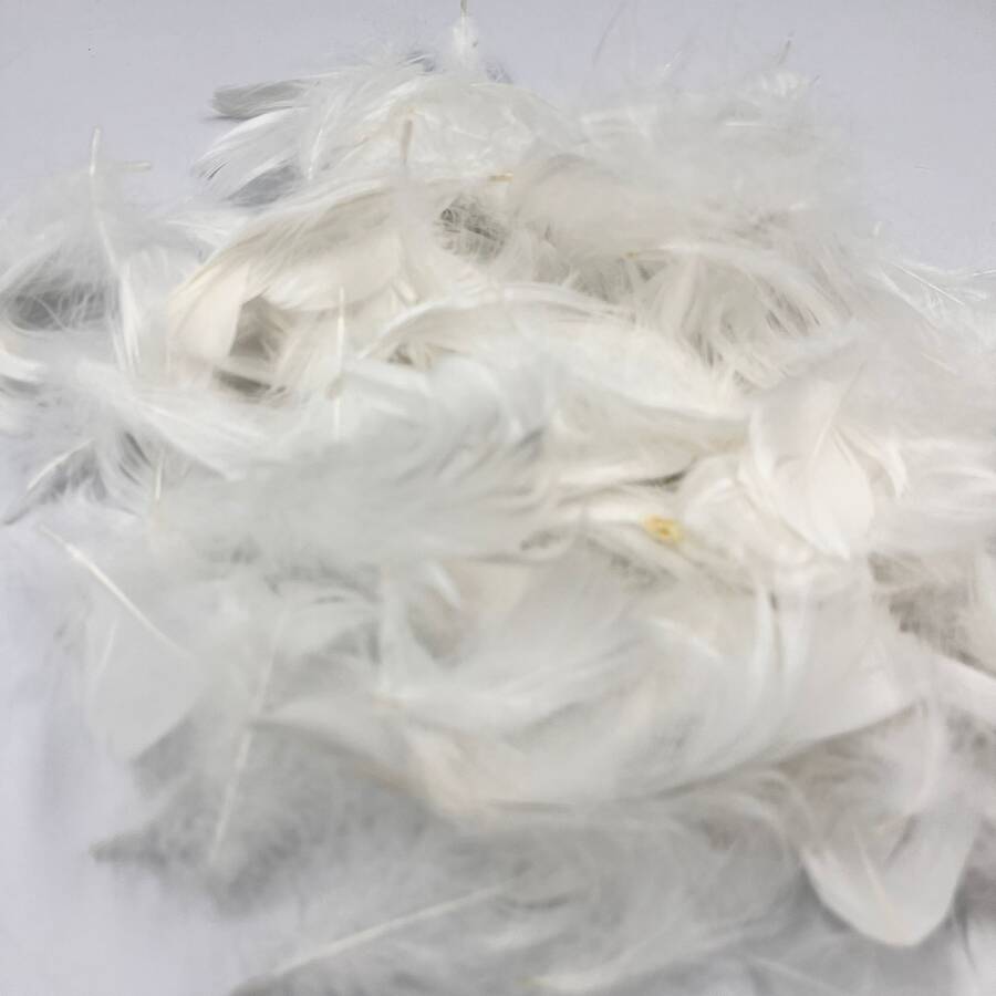 KUŞ TÜYÜ 5 GR