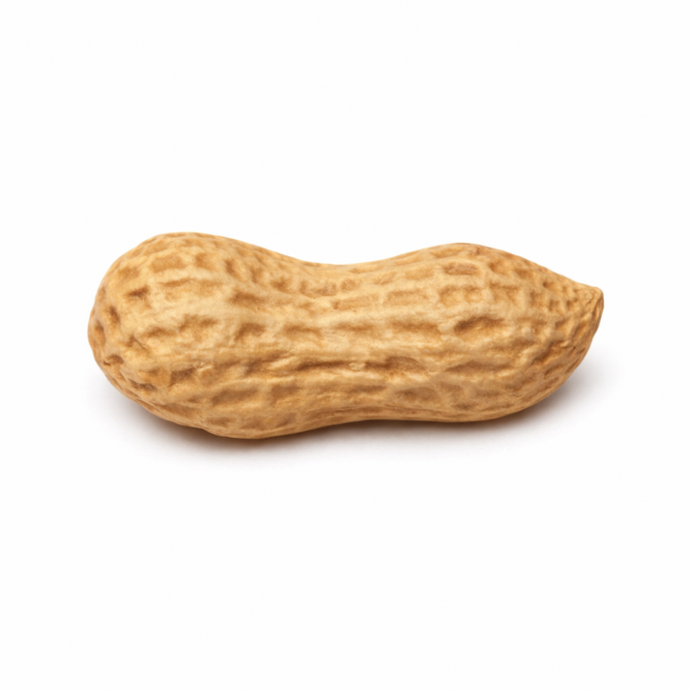 PREMIUM MİNİ YER FISTIĞI SİLİKON KALIP